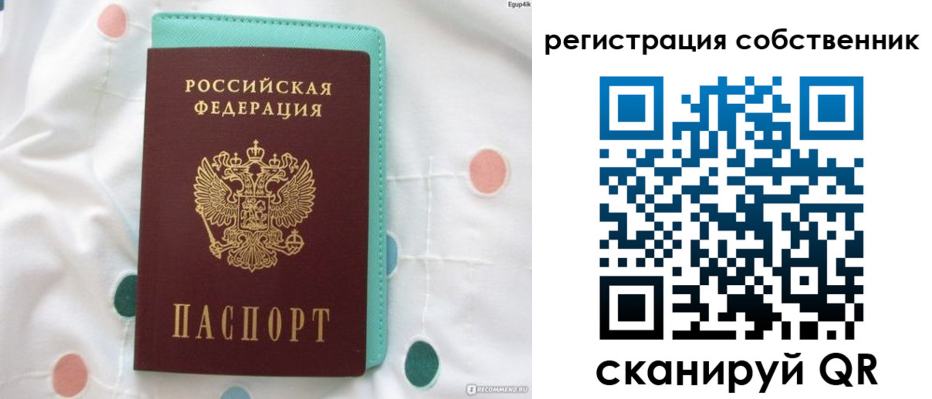 прописка для школы в Волосово